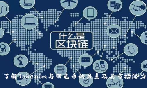 了解Tokenim与羽毛币的关系及其市场潜力