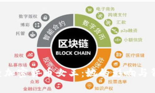FBI调查加密货币女王:她的影响与背后真相