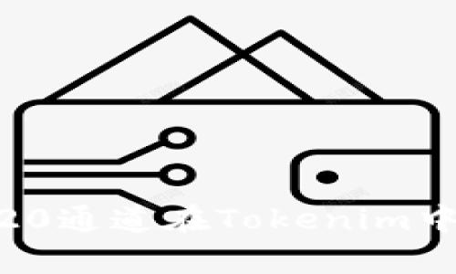 深入解析HRC20通道在Tokenim中的作用与应用