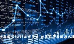 全面解读BXTB加密货币：投资前景与潜在风险