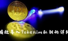 如何有效导入Tokenim私钥的详细指南
