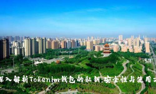 : 深入解析Tokenim钱包的私钥:安全性与使用方法
