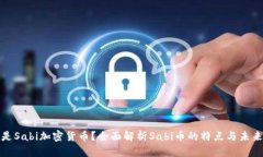 什么是Sabi加密货币?全面解析Sabi币的特点与未来