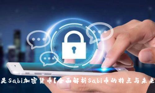 什么是Sabi加密货币?全面解析Sabi币的特点与未来发展