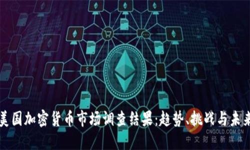 揭示美国加密货币市场调查结果:趋势、挑战与未来展望