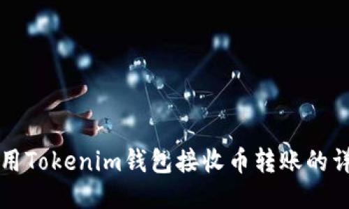 如何使用Tokenim钱包接收币转账的详细指南