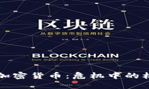 末日博士加密货币:危机中的机遇与挑战