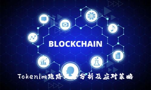 Tokenim跑路风险分析及应对策略
