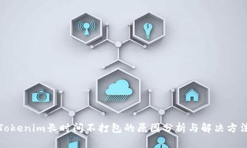 Tokenim长时间不打包的原因分析与解决方法