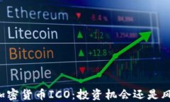 区块链加密货币ICO:投资机会还是风险迷雾?