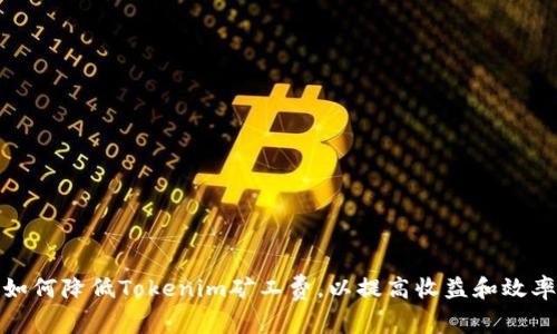 如何降低Tokenim矿工费,以提高收益和效率