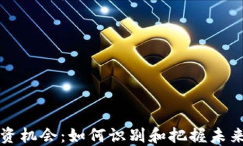 加密货币投资机会:如何识别和把握未来的市场潜力
