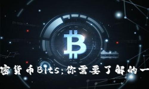 加密货币Bits:你需要了解的一切