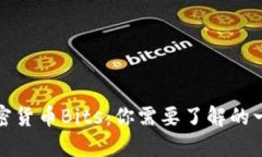 加密货币Bits:你需要了解的一切