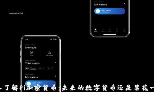 深入了解Pi加密货币:未来的数字货币还是昙花一现?