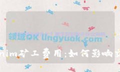 深入解析Tokenim矿工费用:如何影响交易速度与成