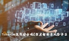 Tokenim洗钱安全吗？深度解析与风险评估