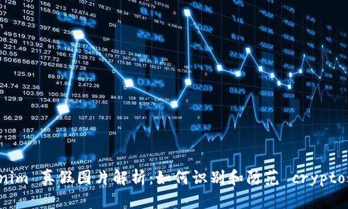Tokenim 真假图片解析:如何识别和防范 cryptoscam