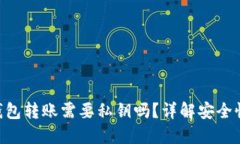 : Tokenim钱包转账需要私钥吗?详解安全性及使用
