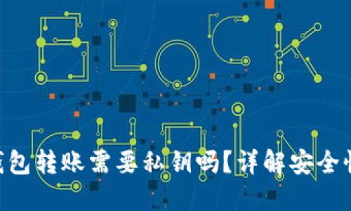 : Tokenim钱包转账需要私钥吗?详解安全性及使用指南