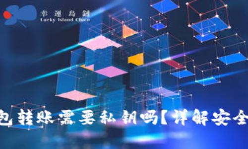 : Tokenim钱包转账需要私钥吗?详解安全性及使用指南