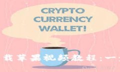 如何使用Tokenim下载苹果视频教程：一步一步教你