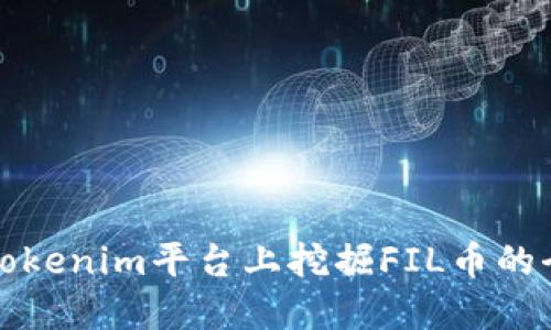 如何在Tokenim平台上挖掘FIL币的全面指南