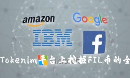 如何在Tokenim平台上挖掘FIL币的全面指南