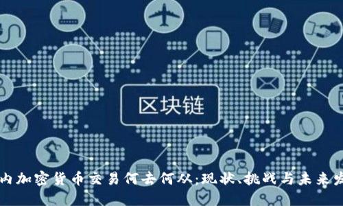 国内加密货币交易何去何从:现状、挑战与未来发展