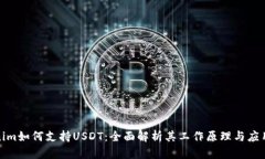 Tokenim如何支持USDT:全面解析其工作原理与应用场