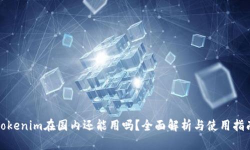 Tokenim在国内还能用吗？全面解析与使用指南