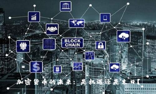 加密货币的未来: 是机遇还是末日?