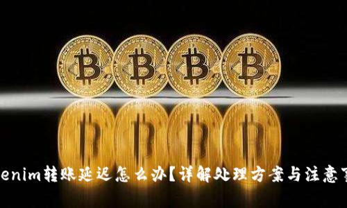 Tokenim转账延迟怎么办?详解处理方案与注意事项