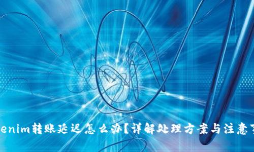 Tokenim转账延迟怎么办?详解处理方案与注意事项