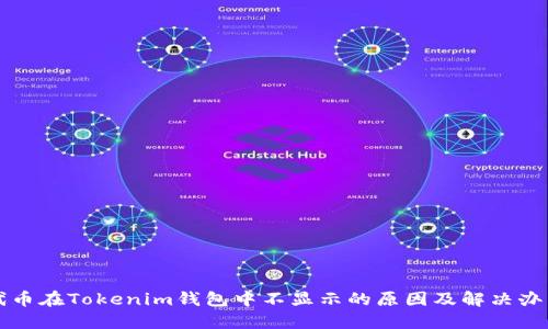代币在Tokenim钱包中不显示的原因及解决办法