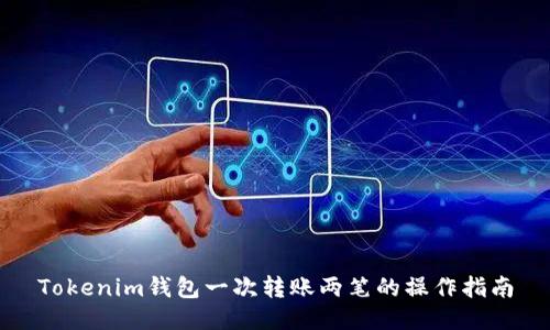 Tokenim钱包一次转账两笔的操作指南