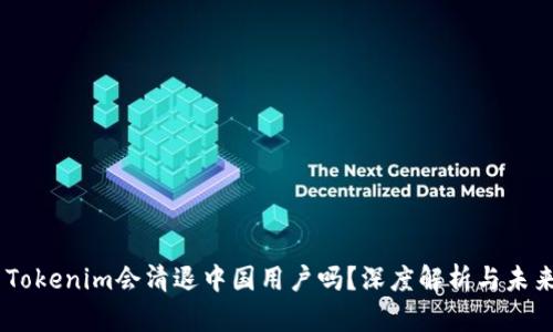 ## Tokenim会清退中国用户吗?深度解析与未来展望