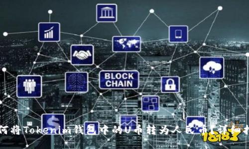 如何将Tokenim钱包中的U币转为人民币？详细指南