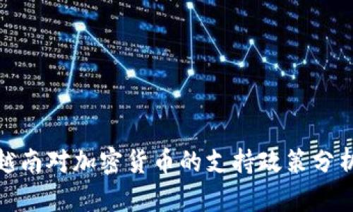 越南对加密货币的支持政策分析