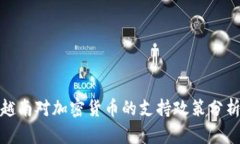 越南对加密货币的支持政策分析