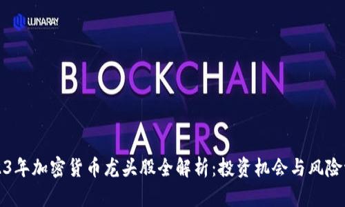 2023年加密货币龙头股全解析:投资机会与风险评估