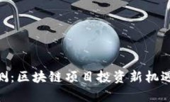 Tokenim评测:区块链项目投资新机遇与风险分析