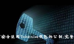 如何安全使用Tokenim钱包的公钥:完整指南