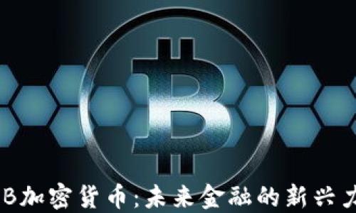 
RNB加密货币：未来金融的新兴力量