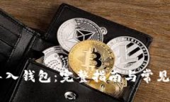 IM如何导入钱包：完整指南与常见问题解答