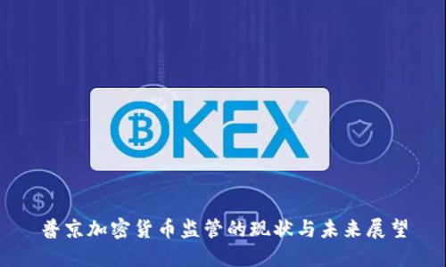 普京加密货币监管的现状与未来展望