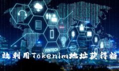 如何有效利用Tokenim地址获得糖果奖励