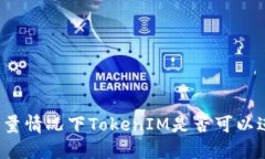 无网络流量情况下TokenIM是否可以进行转账？