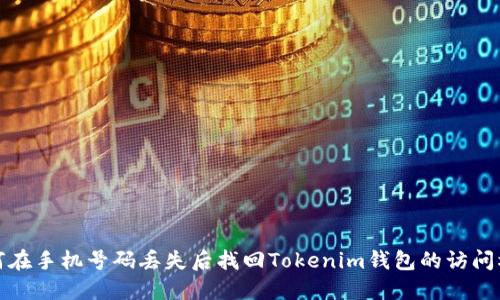 如何在手机号码丢失后找回Tokenim钱包的访问权限