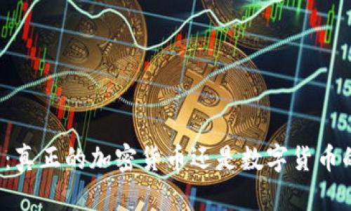 维卡币:真正的加密货币还是数字货币的误区?